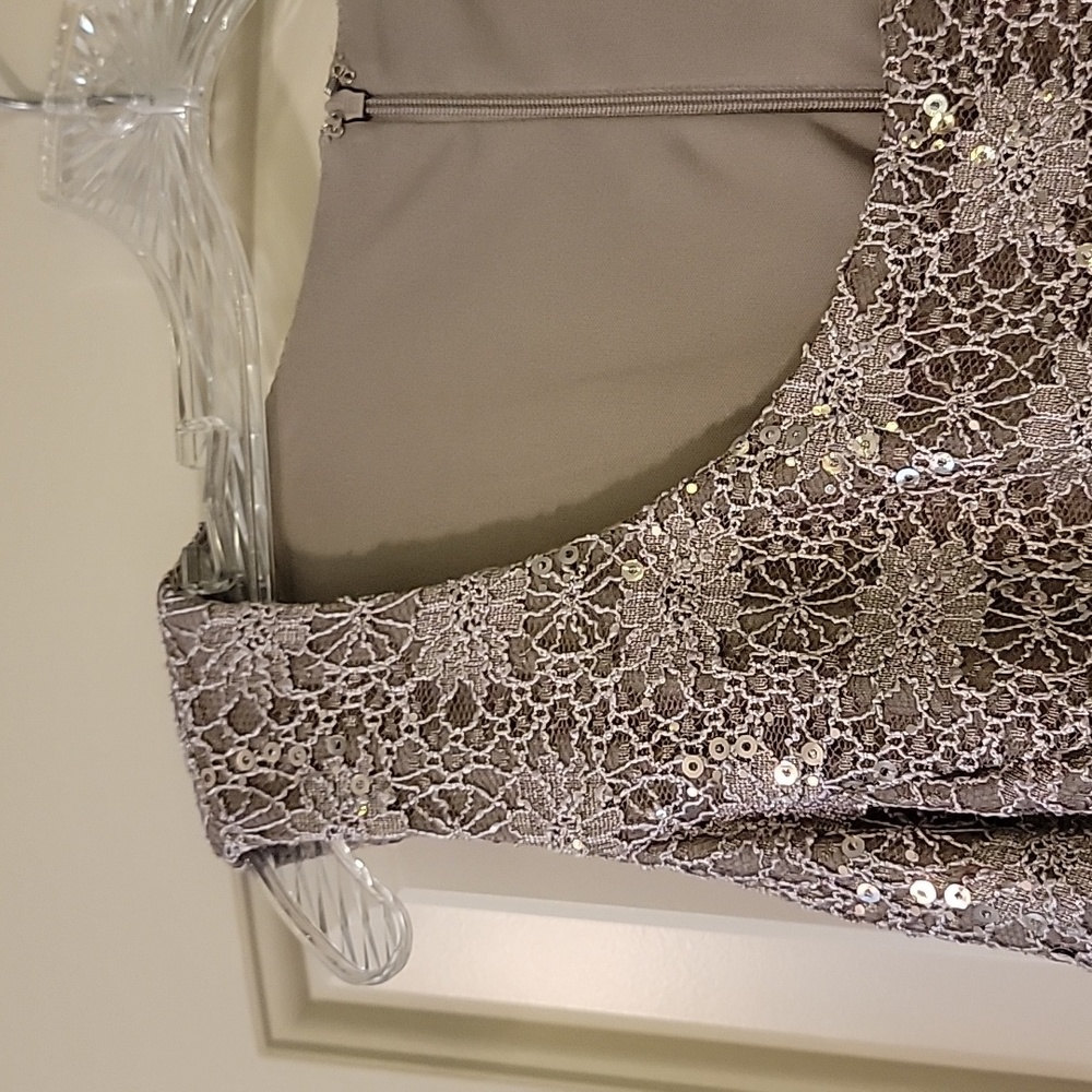 R&M Richards Woman Lace and Sequin Special Occasion Taupe Dress Size 14W - Picture 7 of 9